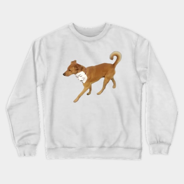 Anonymous Dog Crewneck Sweatshirt by castrocastro